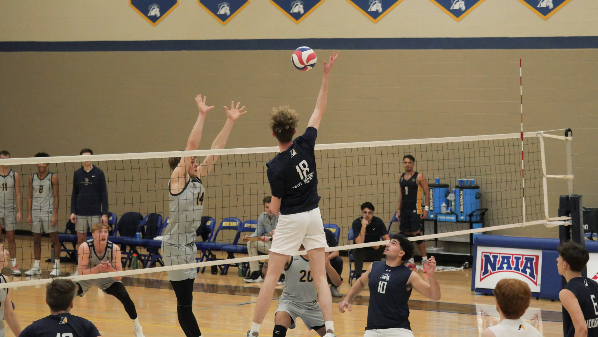Spartans Stop Mustang Win Streak; Sweep Mount Mercy
