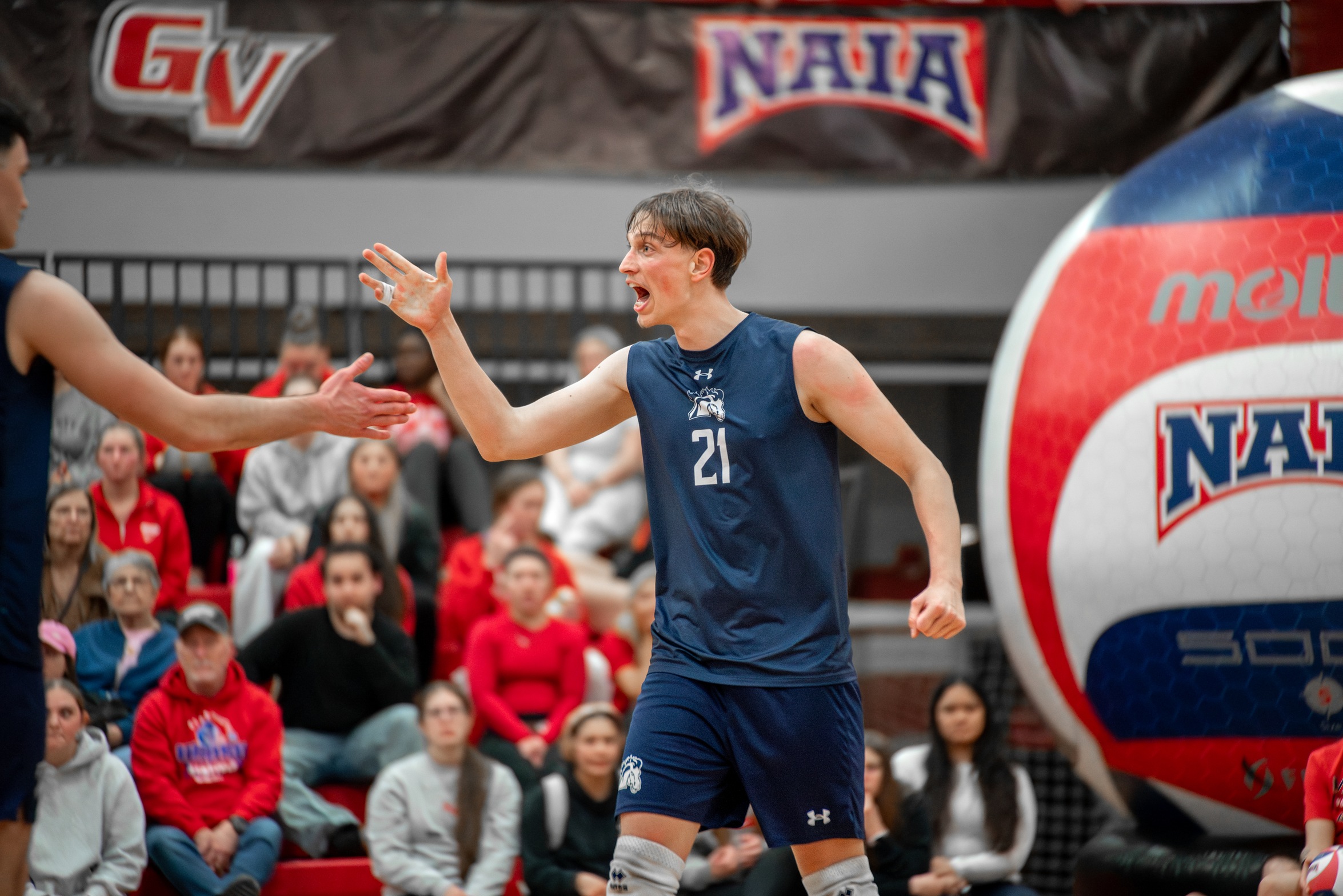 Mustangs Clinch Win Against Defenders with Strong Offense