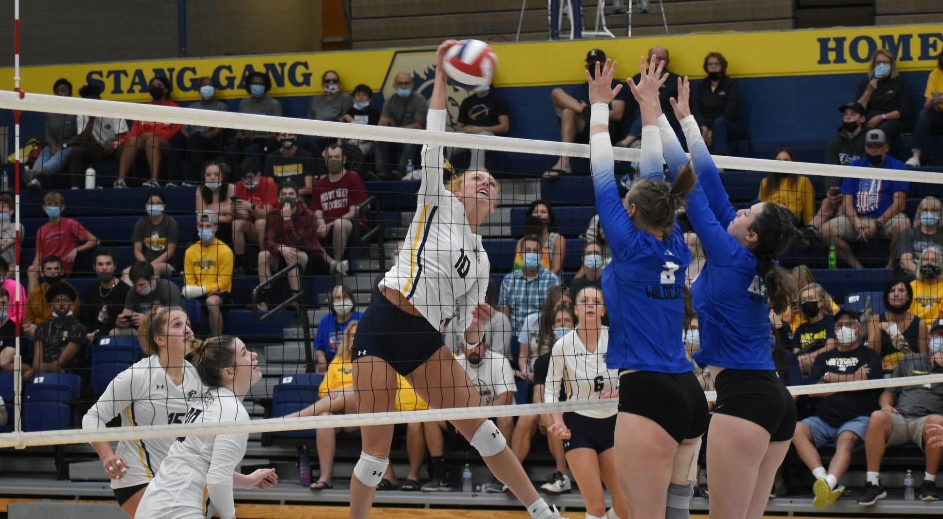 Mustangs sweep Wildcats for 5-0 home record