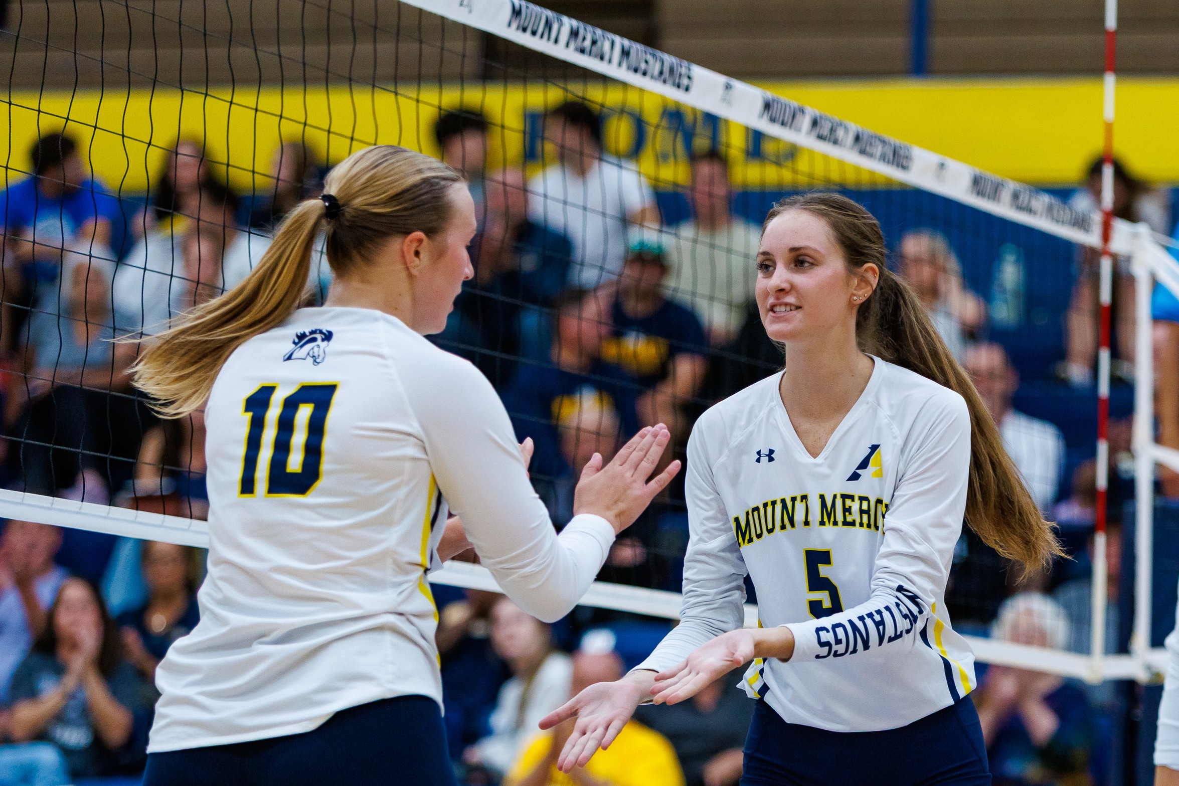 Mustangs Fall Short as Wildcats Close Out in Four Sets