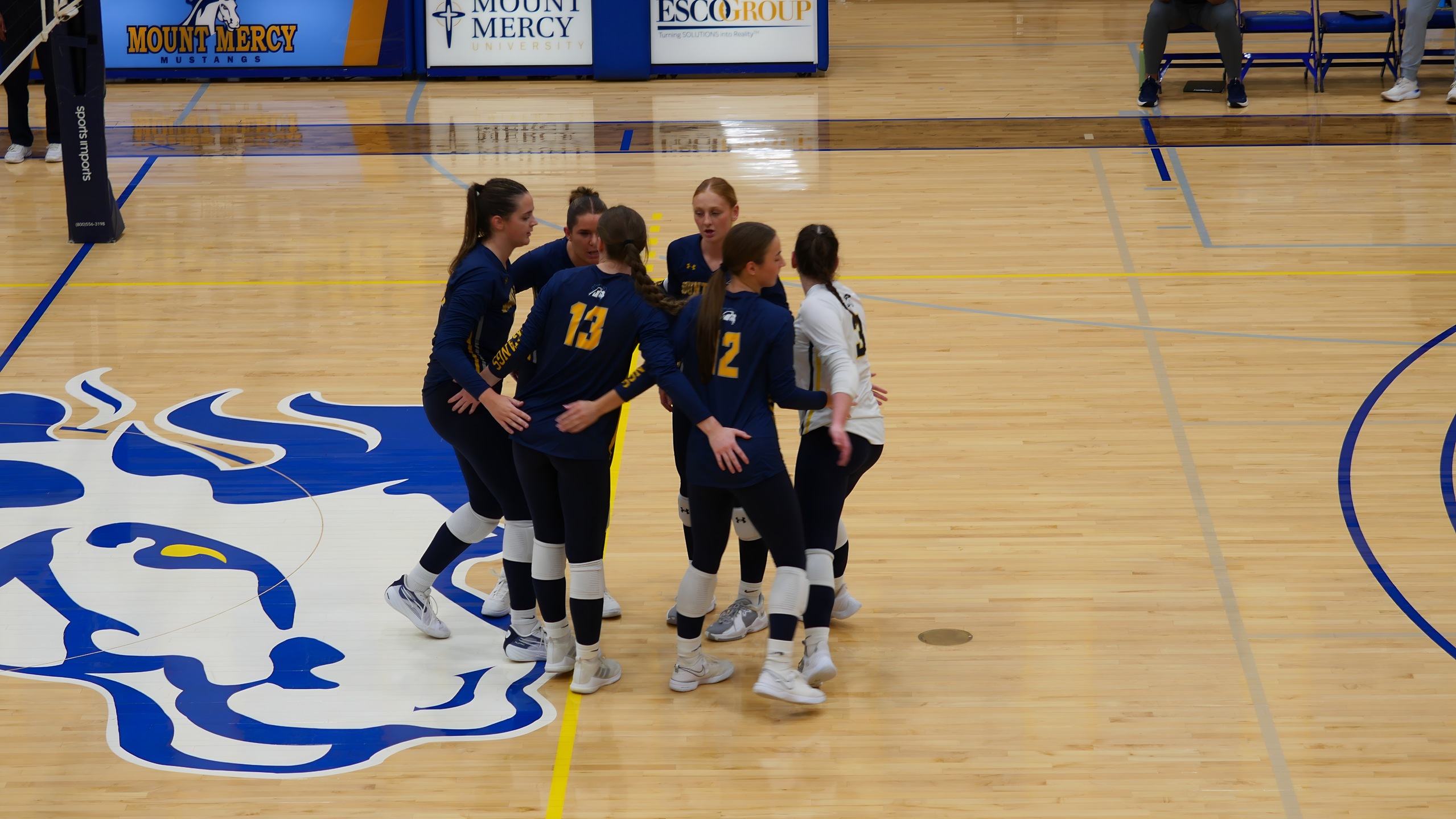 2025 Mount Mercy Women's Volleyball Preview